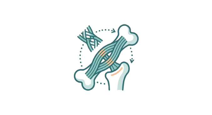 Reconstrucción Ligamentaria